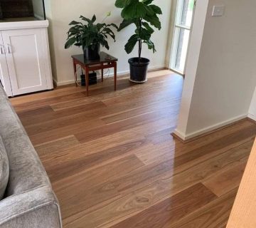 IMG 20251114 WA0110 360x320